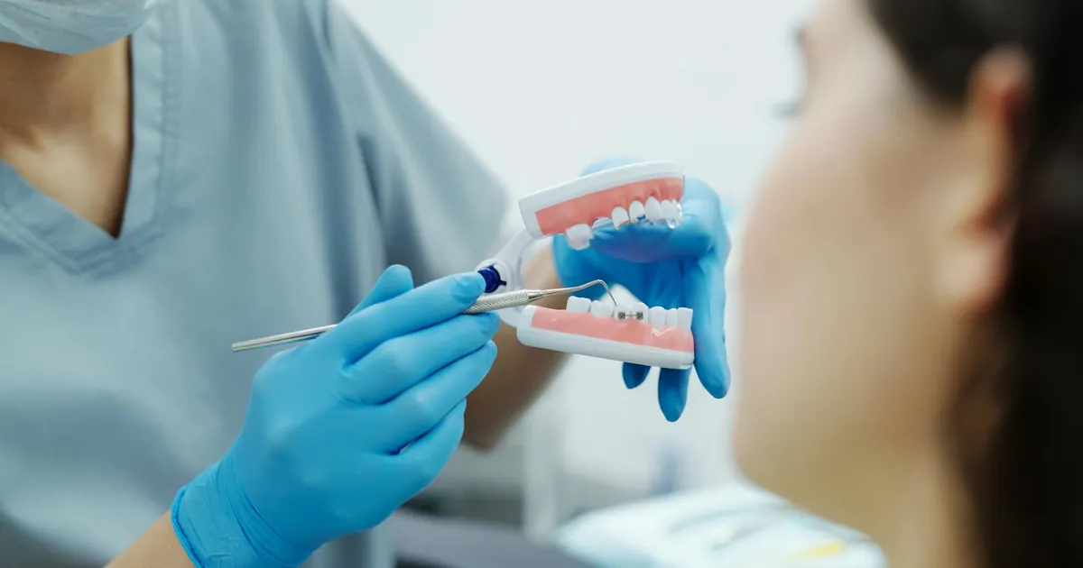 Dentist in gloves demonstrates dental care using a teeth model during an appointment.