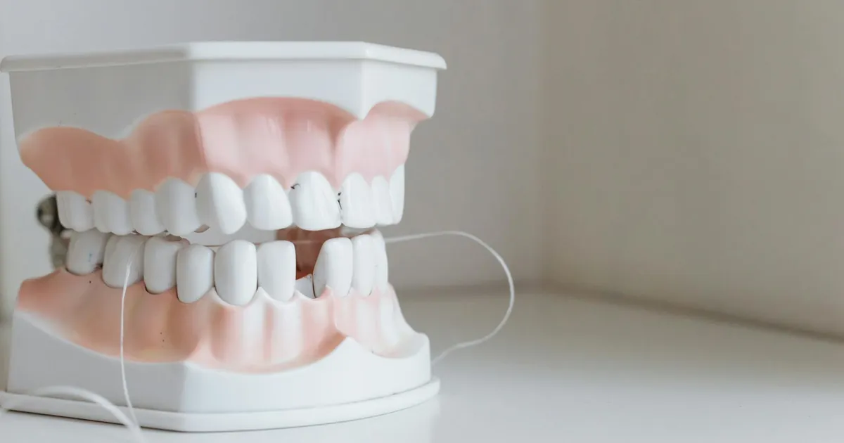 Close-up of a dental model with floss, symbolizing oral hygiene and dental care.